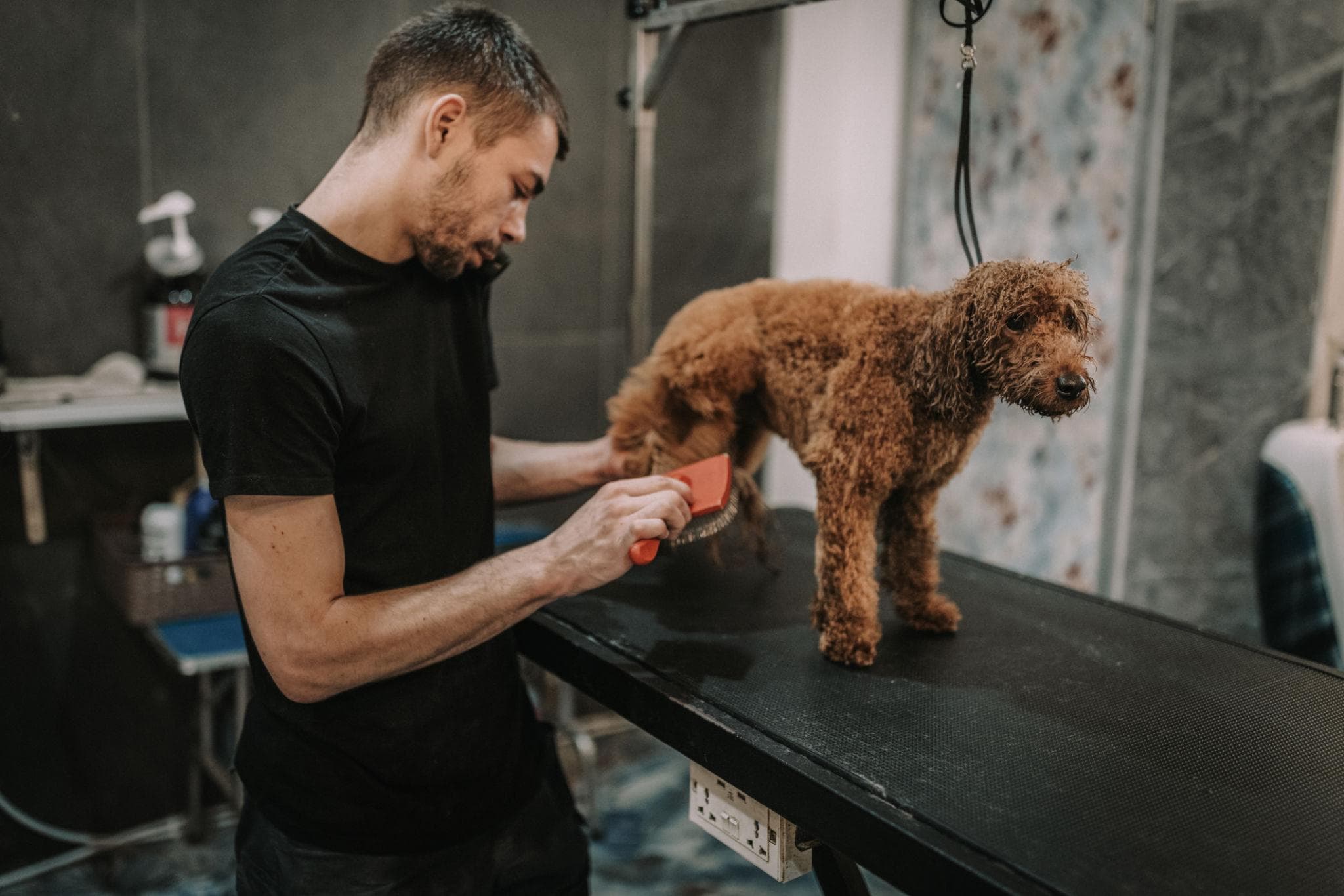 Peluquero 2